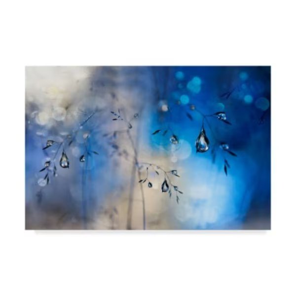 Heidi Westum 'Blue Rain' Canvas Art, 22x32, Trademark Fine Art, Mfr#: 1X07898-C2232GG